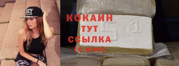 шишки Балабаново