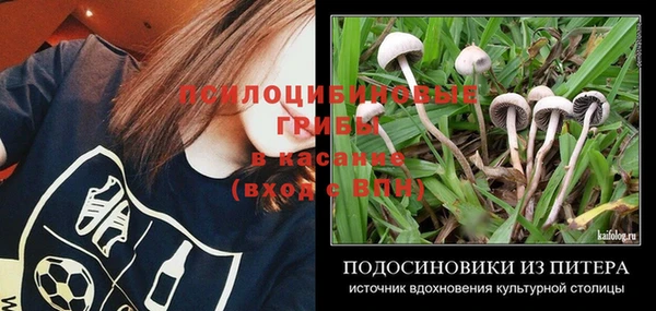 ешки Балахна