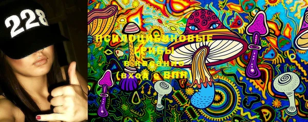 ешки Балахна