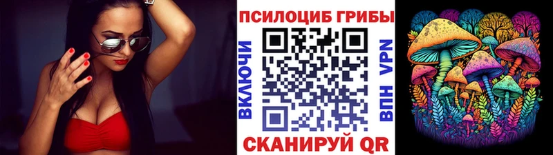 Псилоцибиновые грибы Cubensis  Купить где  Урюпинск 